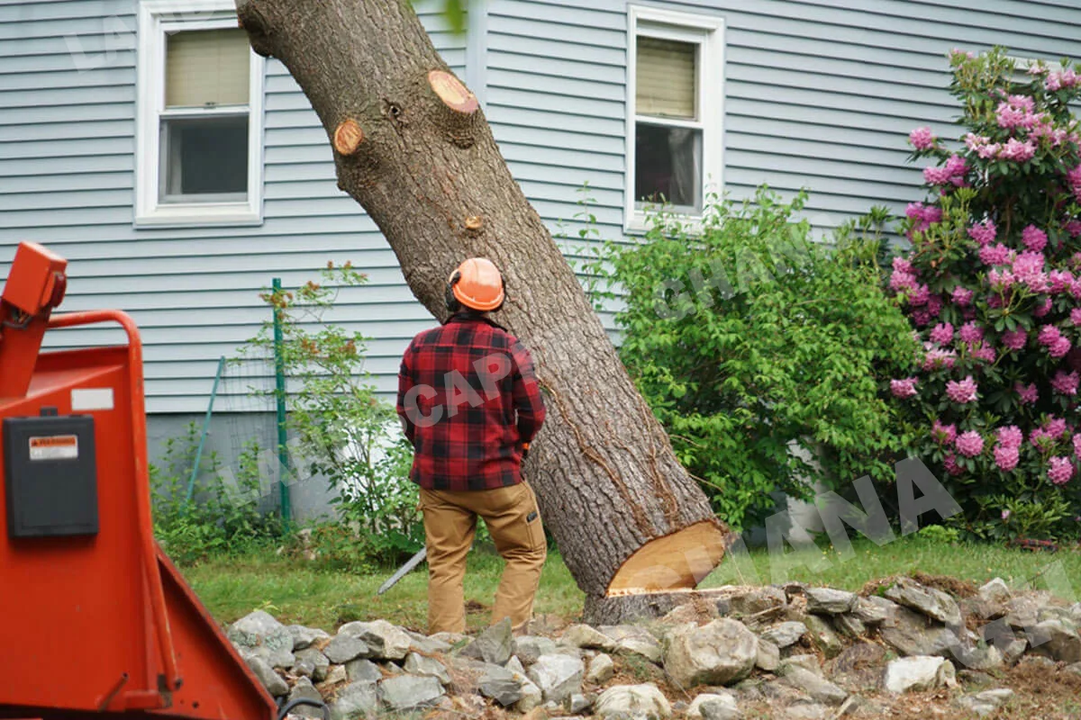 Gallery in Accra, Ghana | Expert Landscaping & Garden Design | Landscapers Ghana