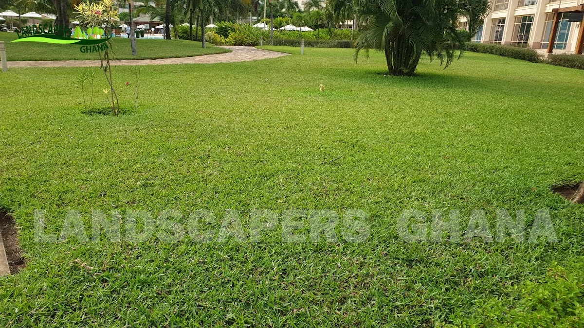 Gallery in Cantonments, Ghana | Expert Landscaping & Garden Design | Landscapers Ghana