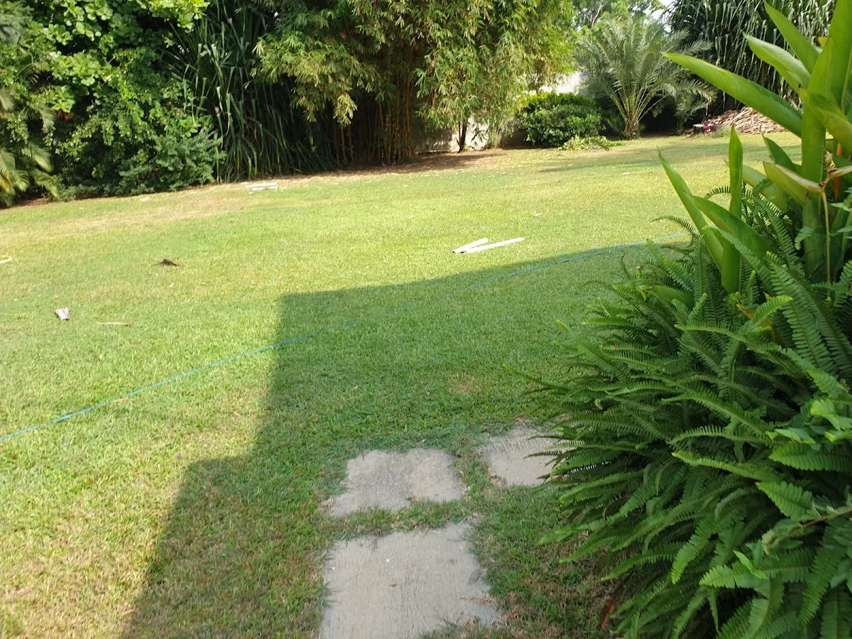 Gallery in Tema, Ghana | Expert Landscaping & Garden Design | Landscapers Ghana
