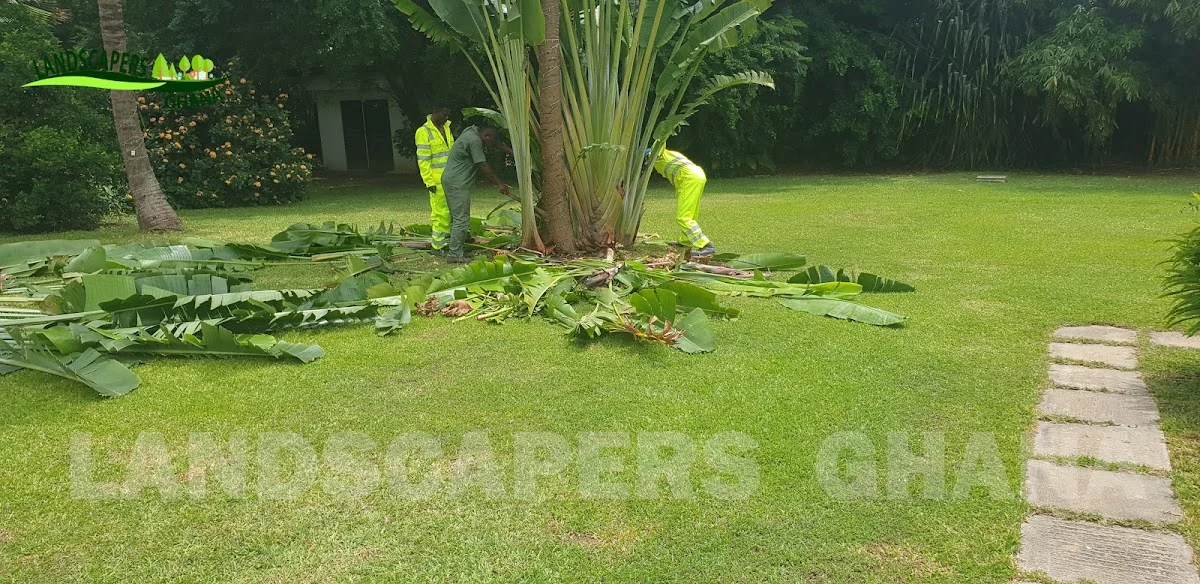 Gallery in Kumasi, Ghana | Expert Landscaping & Garden Design | Landscapers Ghana