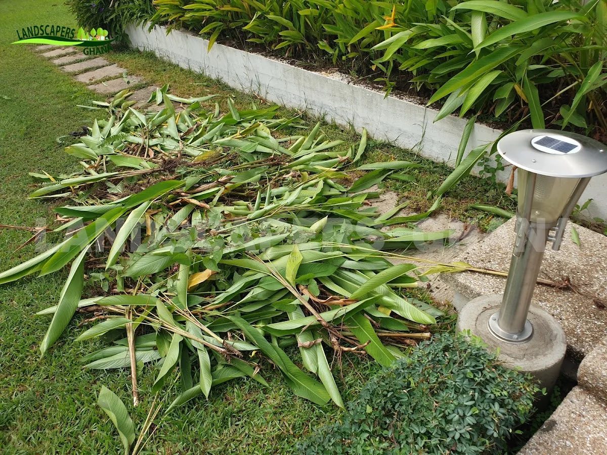 Gallery in East Legon, Ghana | Expert Landscaping & Garden Design | Landscapers Ghana