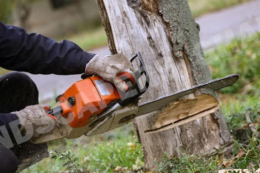 Gallery in Accra, Ghana | Expert Landscaping & Garden Design | Landscapers Ghana